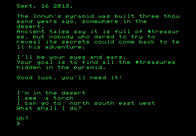 The Innuh's Pyramid screenshot for Commodore PET