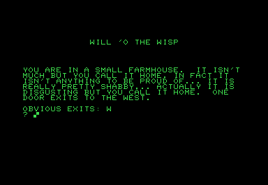 Will O' the Wisp screenshot for Commodore PET