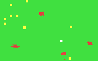 Forest Fire