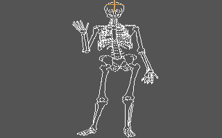 Human Anatomy Series - Skeleton Bones Tutorial