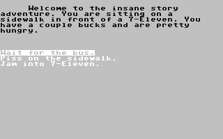 Insane Story Adventure