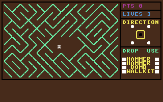 Lost in the Labyrinth