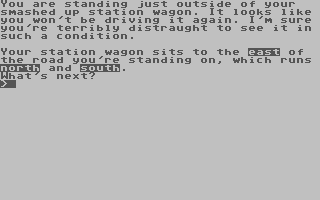 Station Wagon Blues