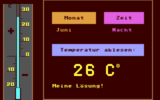 Thermometer, Das