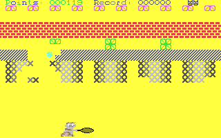 Tennis-Cat