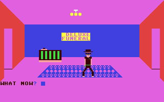 Western Adventure, A