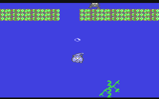 Water Caper