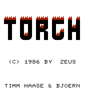Torch